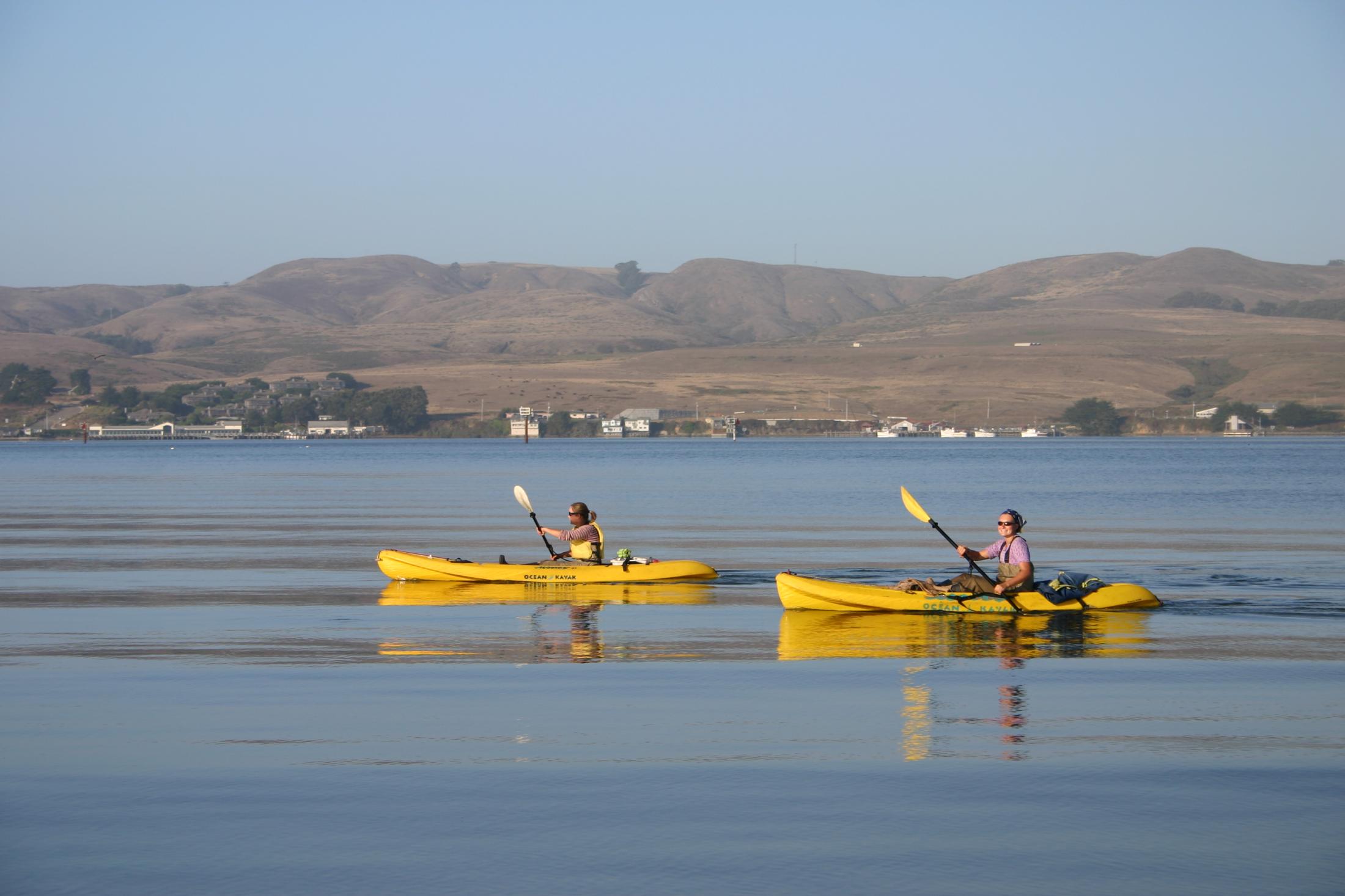 Researchers on Bodega Bay