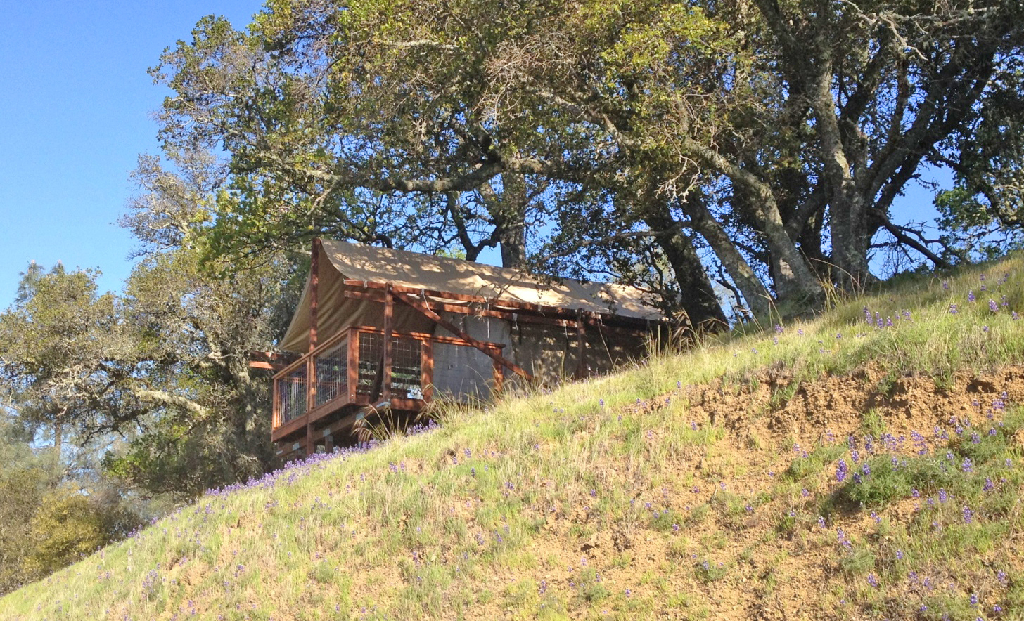 Tent cabin