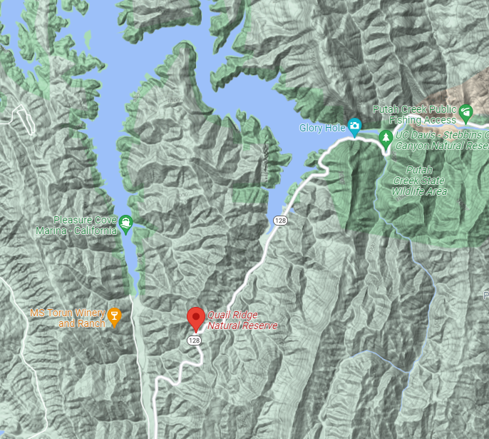 Google Maps of Quail Ridge