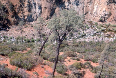 Region 1