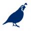Quail icon