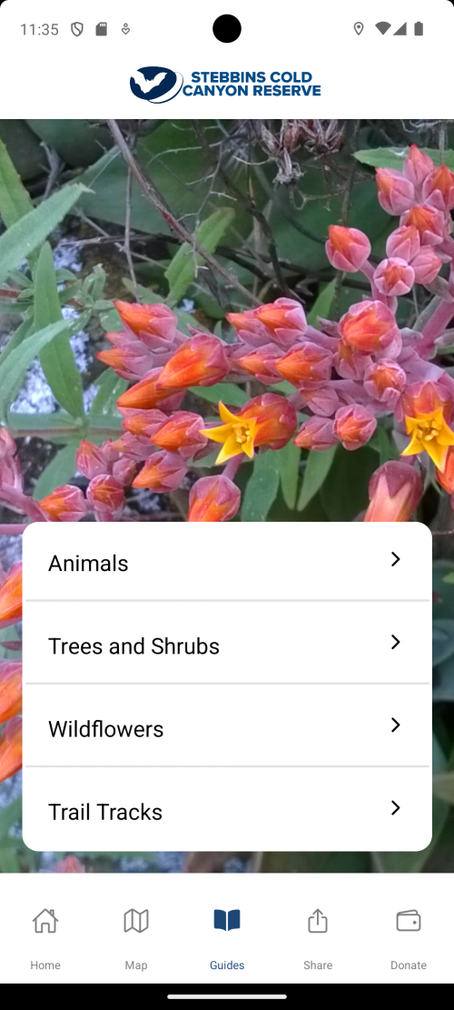 app_guide
