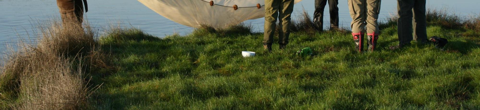 Research at Jepson Prairie
