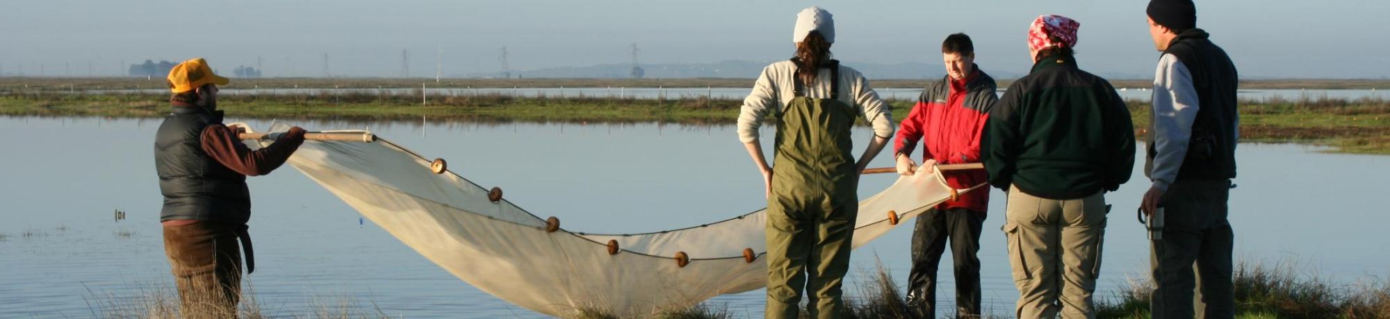 Research at Jepson Prairie