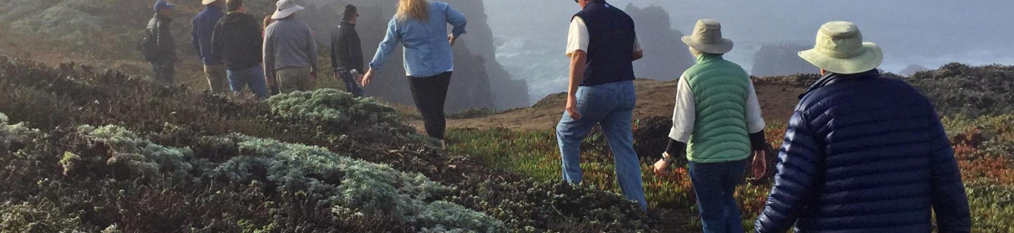 Bodega Marine Reserve cliffs