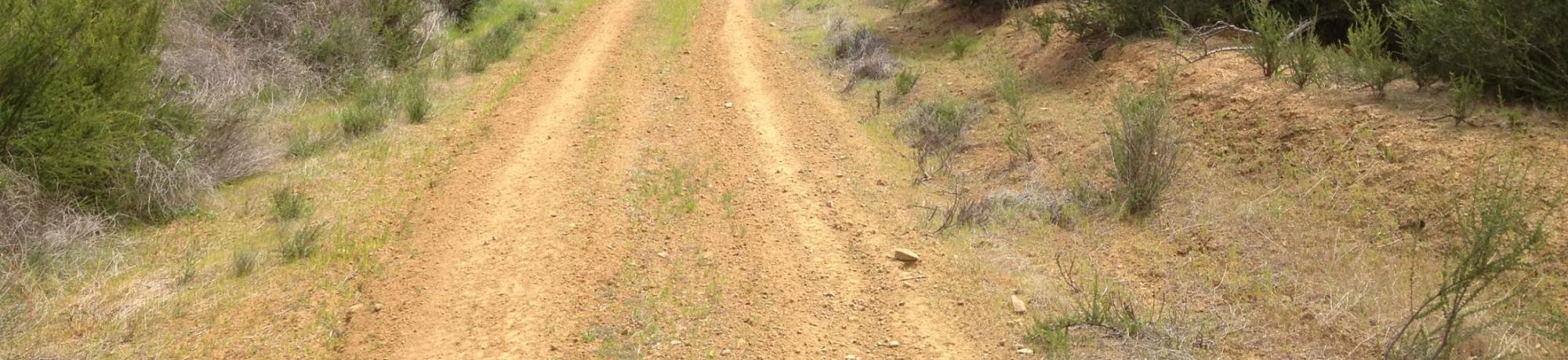 Quail Ridge roads