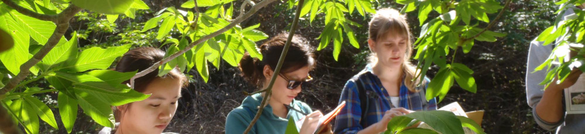 Citizen science at Stebbins Cold Canyon