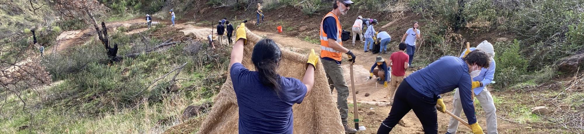 Stebbins Trail Work