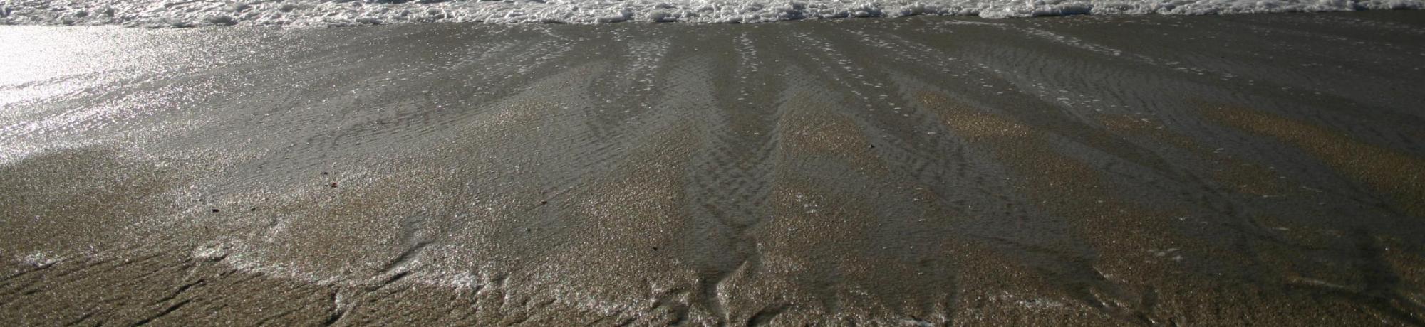 Bodega beach